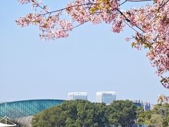 -新江湾城公园