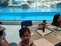 -帝企鹅自助餐厅•儿童岛•真企鹅(长隆企鹅酒店)