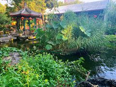 -白家大院·王府宫廷菜(苏州街店)
