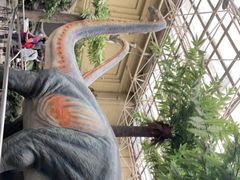 -国家自然博物馆