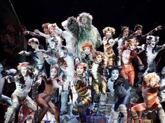 -交通银行前滩31演艺中心