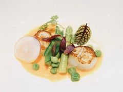 -蝶舍·MAISON PAPILLON