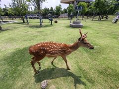 -南京金牛湖风景区