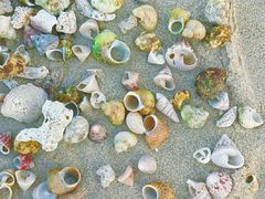 -石螺口海滩