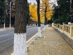 -八大关景区