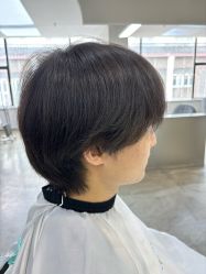 -蚂蚁造型沙龙