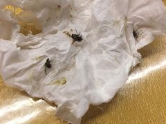 -留芳·文旅古月楼(老街店)