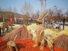 -北京西山国家森林公园