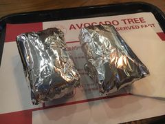 -油梨树 AVOCADO TREE(亮马桥店)