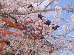 -奈良公园