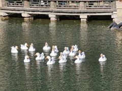-北京古北水镇御舍温泉酒店