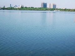 -南湖国家城市湿地公园