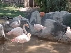 -昆明动物园