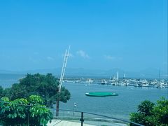 -希尔顿南海酒店·观廊大堂吧·海景下午茶