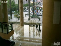 CIMG5012-上海浦东喜来登由由大酒店·宴会厅