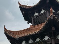 -观潮胜地公园