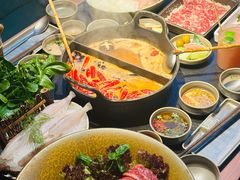 -大龙燚·旷野鲜火锅(广州首店)