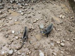 -青峰峡国家森林公园