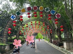 -大屏嶂森林公园
