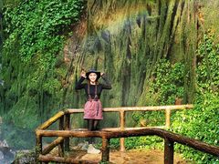 -莫里热带雨林景区