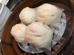 虾饺-新海利(北岭店)