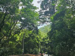 -火炉山森林公园