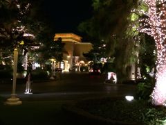 -拉斯维加斯永利酒店