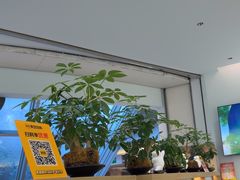 -长风拨筋养身(金虹桥店)