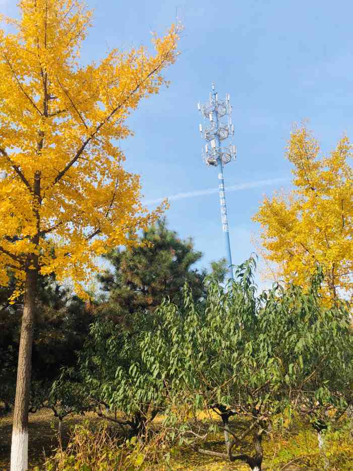 高鑫公园-"位于黄土岗公社高立庄村,高铁桥西南侧. ."-大众点评移动版