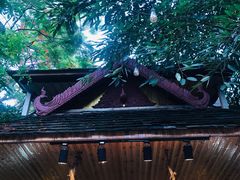 -抚仙湖生态石锅鱼野生菌(告庄店)
