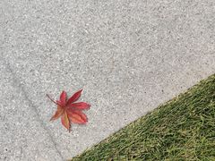 -孟夫子水煎包(锦艺城店)