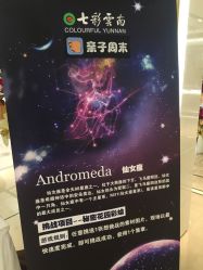 -北京七彩云南翡翠珠宝旗舰店(月坛店)