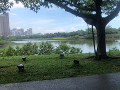 -万绿园