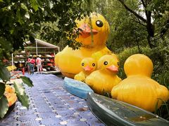 -动邦皮划艇·桨板·独木舟·团建户外运动俱乐部