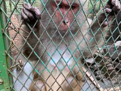 -藏龙百瀑风景区