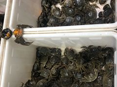 -济南海鲜大市场