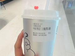 -TD66高山铁皮石斛养生茶饮