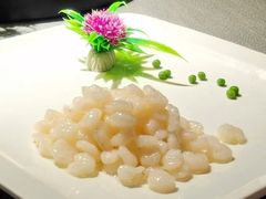 -月湖翠·上海菜(思南公馆淮海店)