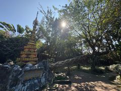 -瑞丽独树成林风景区