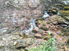 景点-鼎湖山风景区