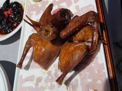 -大鸽饭(体育西路店)