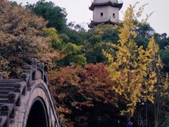 -江心屿景区