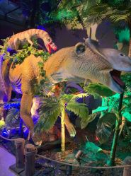 -恐龙探索乐园(磁器口店)