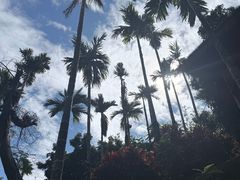 -七仙岭温泉国家森林公园