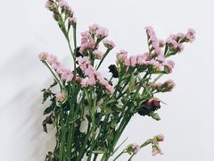 -秀·爱尔兰餐吧(上海路店)