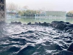 -春晖园度假酒店温泉