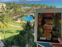 -三亚亚龙湾天域度假酒店