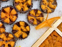 -鮨乐亭Omakase·海胆宴