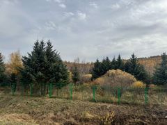 -塞罕坝国家级自然保护区