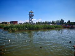 -乌梁素海景区